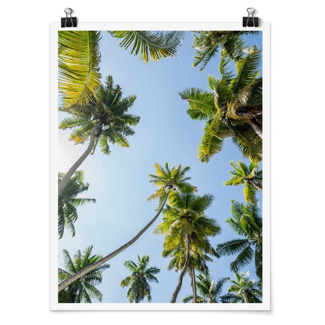 Landscape poster prints Palm Tree Canopy