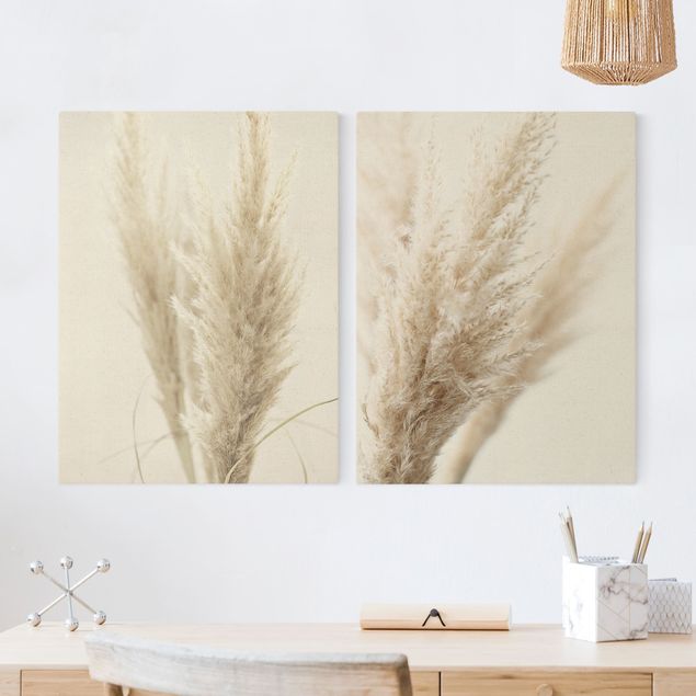 Canvas prints grasses Pampas Grass In Light