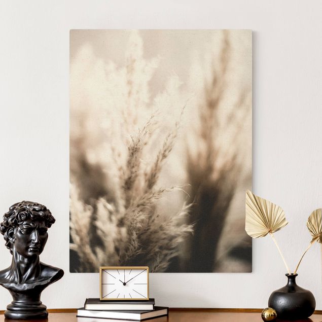 Canvas prints grasses Pampas Grass In The Shadow