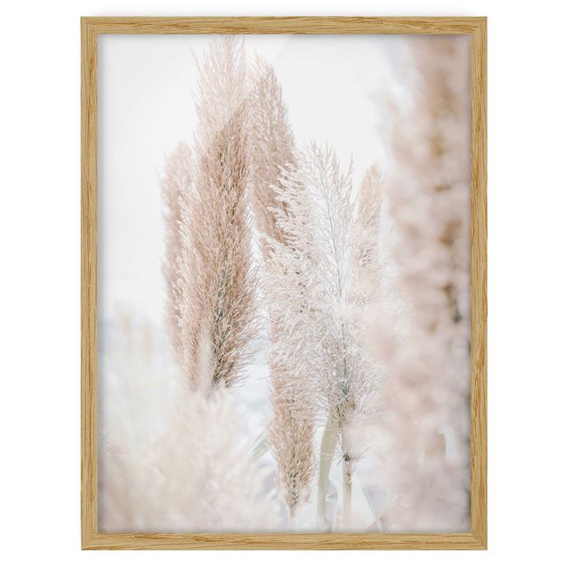 Framed floral Pampas Grass In White Light