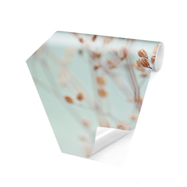 Creme wallpapers Pastel Buds On Wild Flower Twig