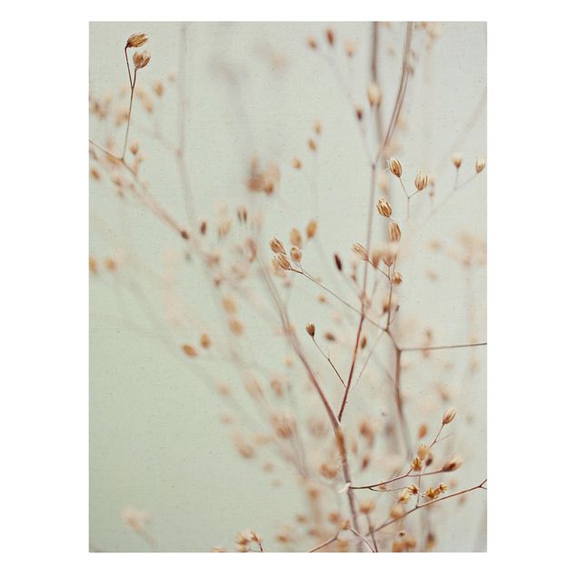 Modern art prints Pastel Buds On Wild Flower Twig