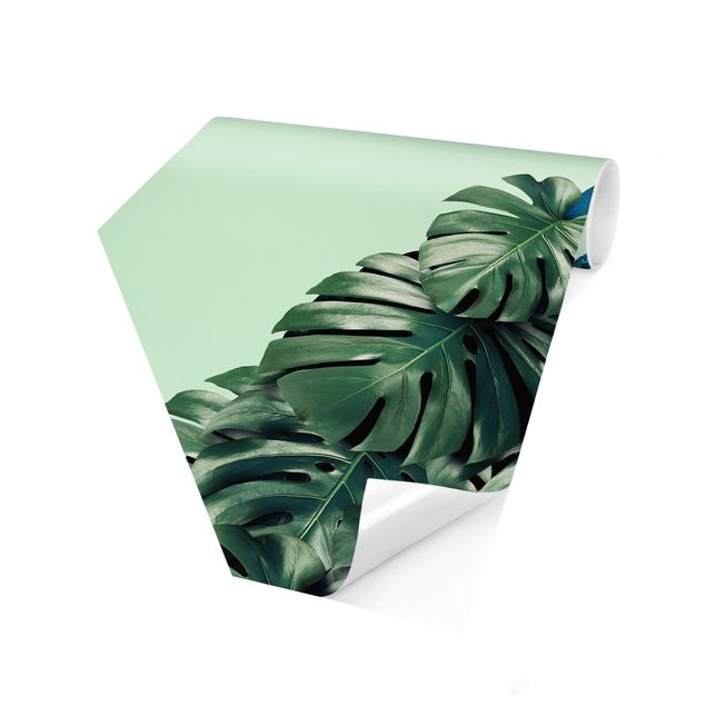 Modern wallpaper designs Peacock With Monstera Leaves