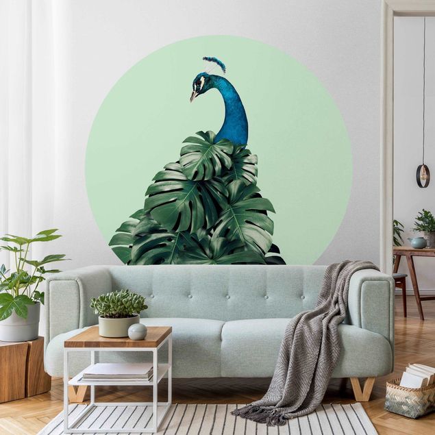 Wallpapers birds Peacock With Monstera Leaves
