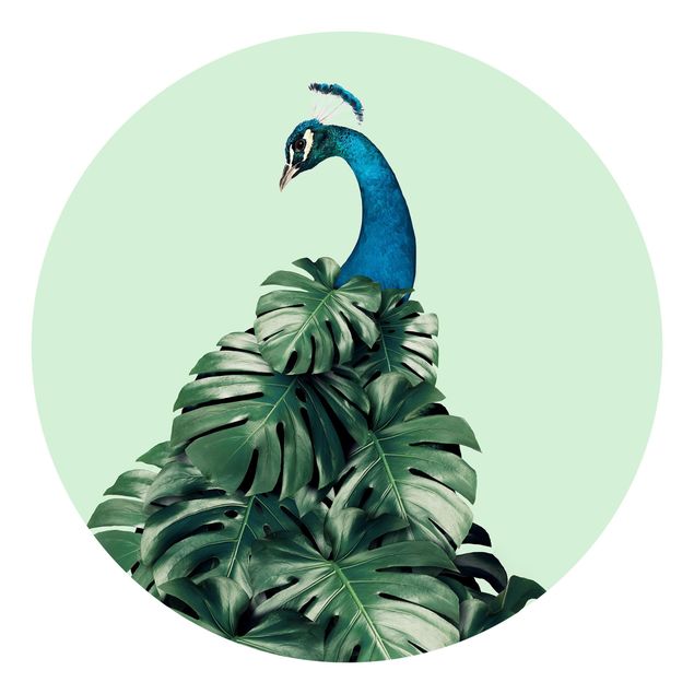 Wallpapers animals Peacock With Monstera Leaves