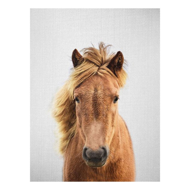 Animal canvas Horse Pauline