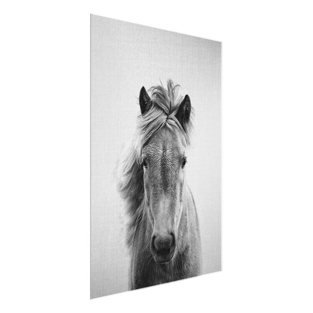 Glass prints pieces Horse Pauline Black And White