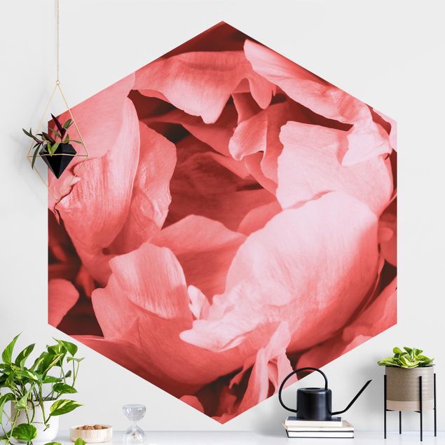 Kitchen Peony Blossom Coral