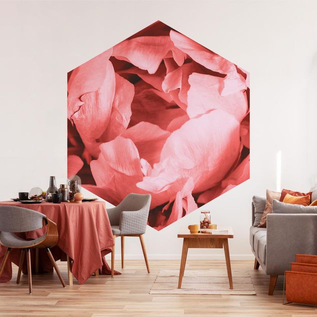 Wallpapers modern Peony Blossom Coral