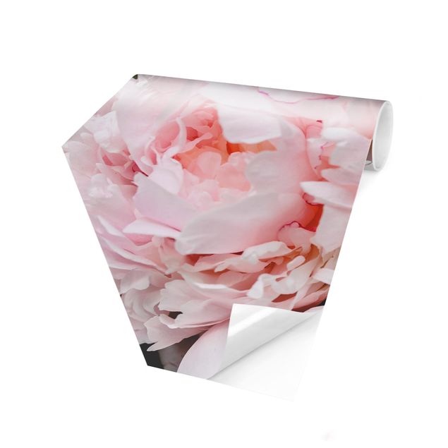 Wallpapers country Peonies Light Pink