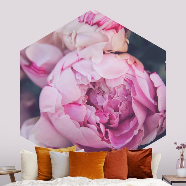 Rose flower wallpaper Peony Blossom Shabby