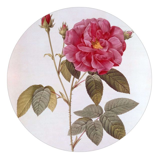 Floral wallpaper Pierre Joseph Redoute - Apothecary's Rose