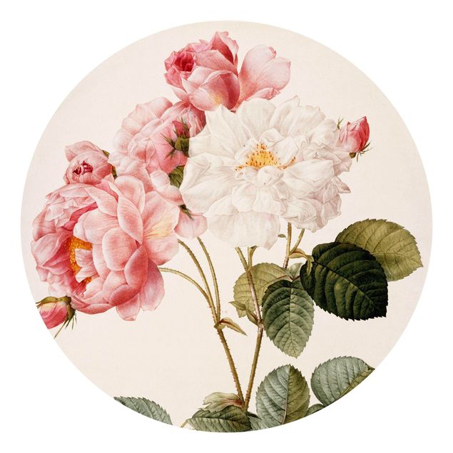 Wallpapers flower Pierre Joseph Redoute - Pink Damascena