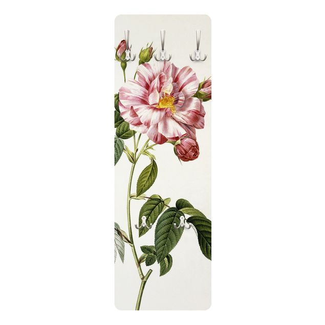 Wall mounted coat rack country Pierre Joseph Redoute - Pink Gallica Rose