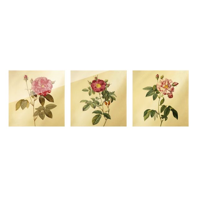 Art prints Pierre Joseph Redouté - Roses