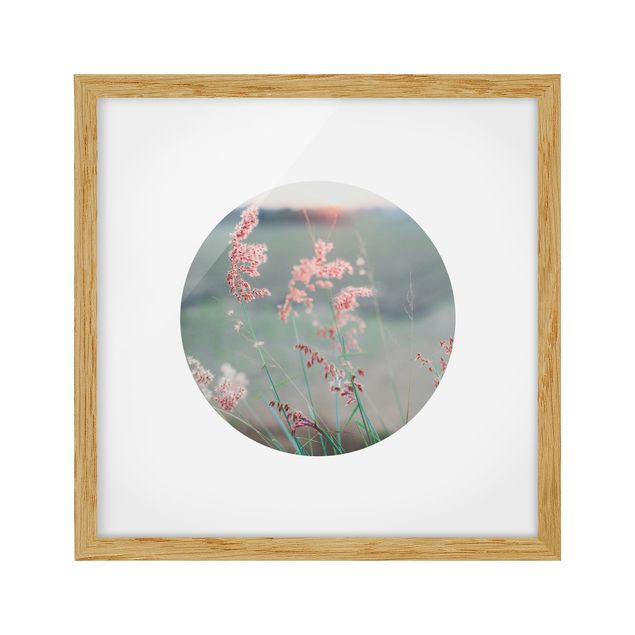 Framed floral Pink Flowers In A Circle