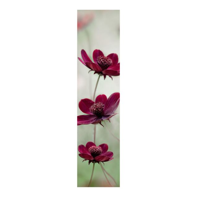 Sliding panel curtains flower Pink Cosmos Flower