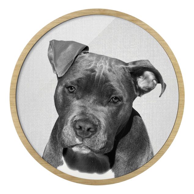 Contemporary art prints Pit Bull Pelle Black And White