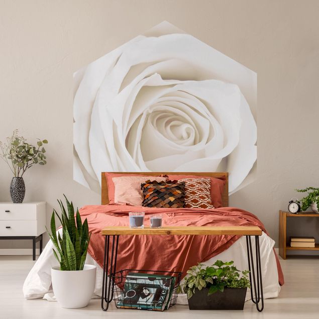Modern wallpaper designs Pretty White Rose