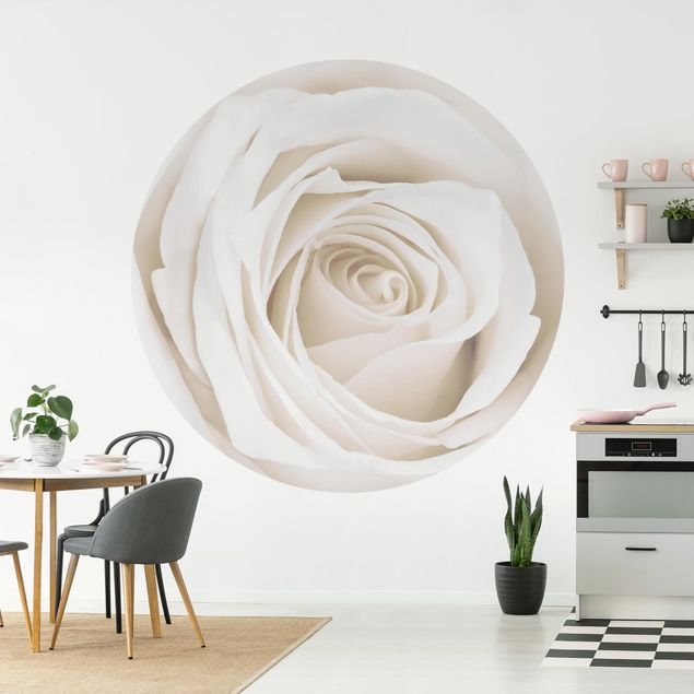 Wallpapers rose Pretty White Rose