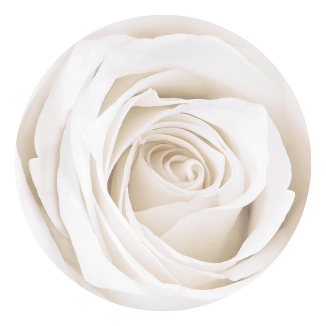 Wallpapers modern Pretty White Rose