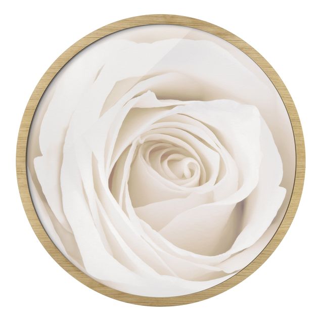 Prints Pretty White Rose