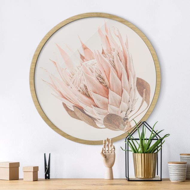 Floral canvas Protea Queen Of Flowers