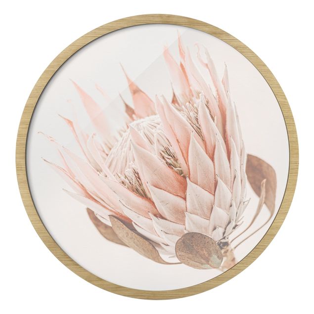 Pink art canvas Protea Queen Of Flowers