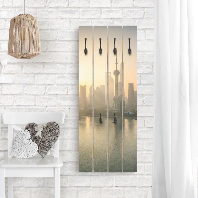 Wall mounted coat rack architecture and skylines Pudong At Dawn