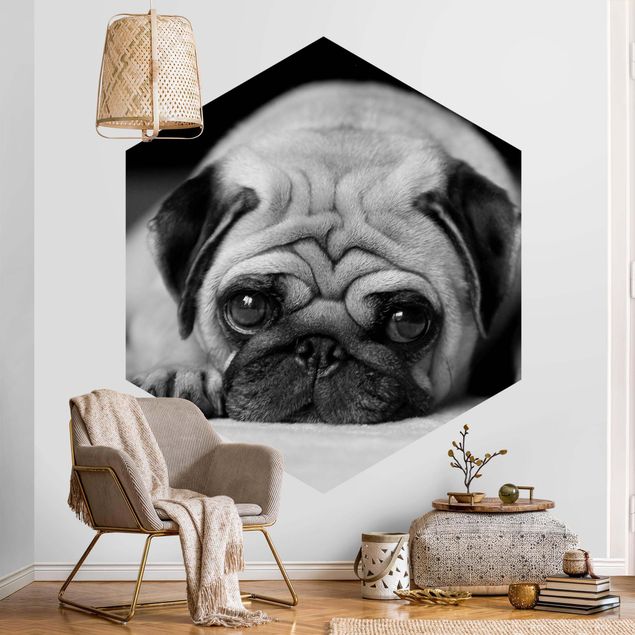 Black white wallpaper Pug Loves You II