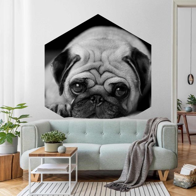 Wallpapers animals Pug Loves You II