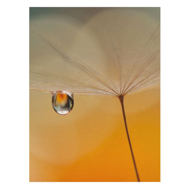 Modern art prints Dandelion In Orange