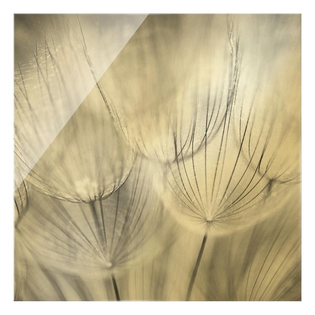 Flower print Dandelion Macro Shot In Black And White