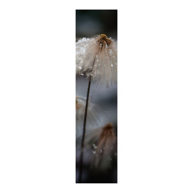 Sliding panel curtains flower Dandelions With Snowflakes