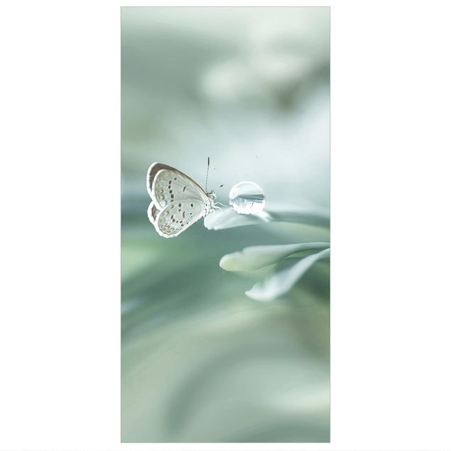 Room divider - Butterfly And Dew Drops In Pastel Green