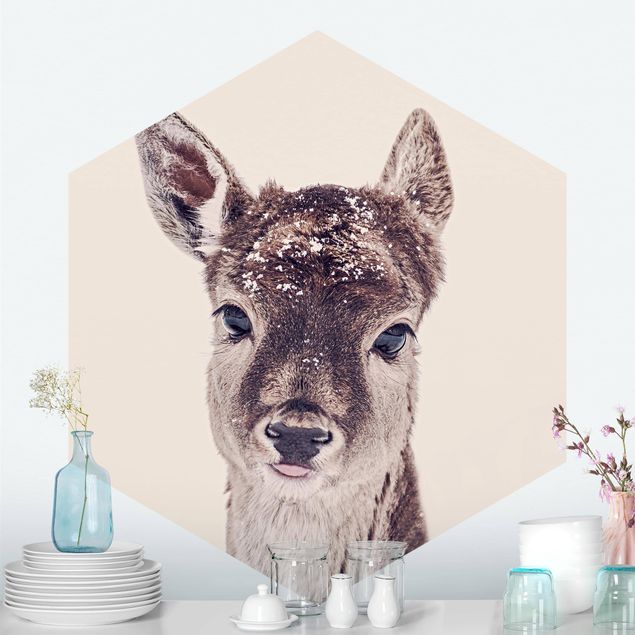 Wallpapers animals Fawn Portrait