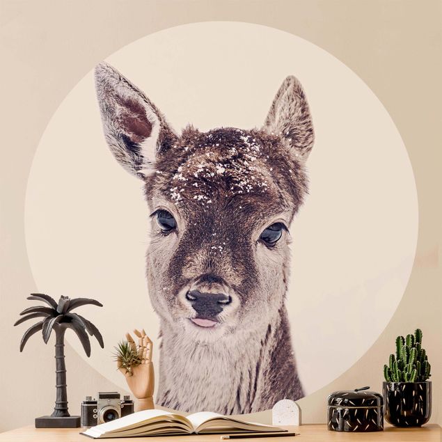 Wallpapers animals Fawn Portrait
