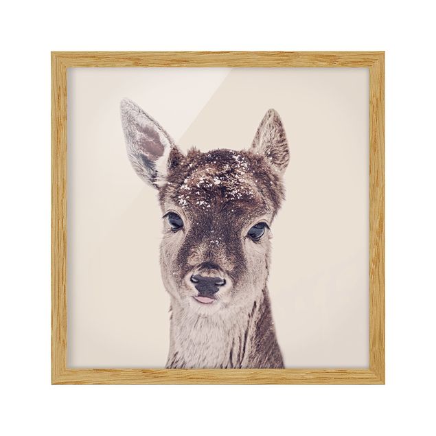 Framed animal prints Fawn Portrait