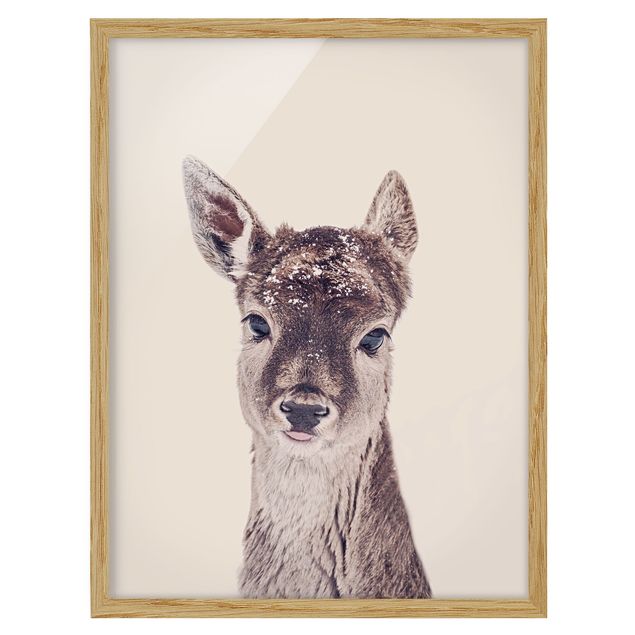 Framed animal prints Fawn Portrait