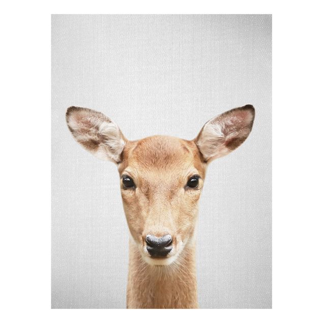 Animal canvas Roe Deer Rita