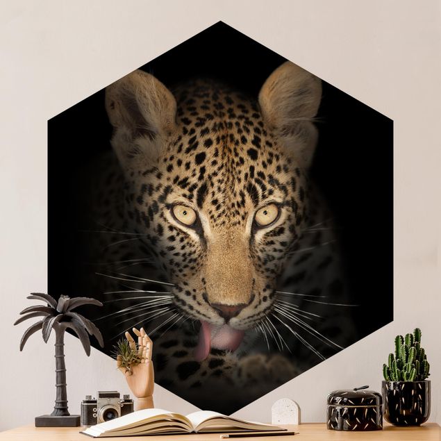 Wallpapers cat Resting Leopard