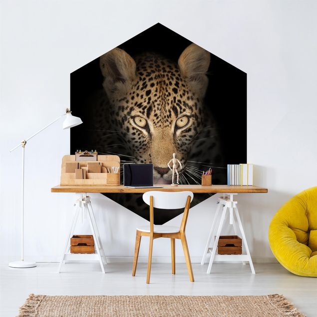 Black and white aesthetic wallpaper Resting Leopard
