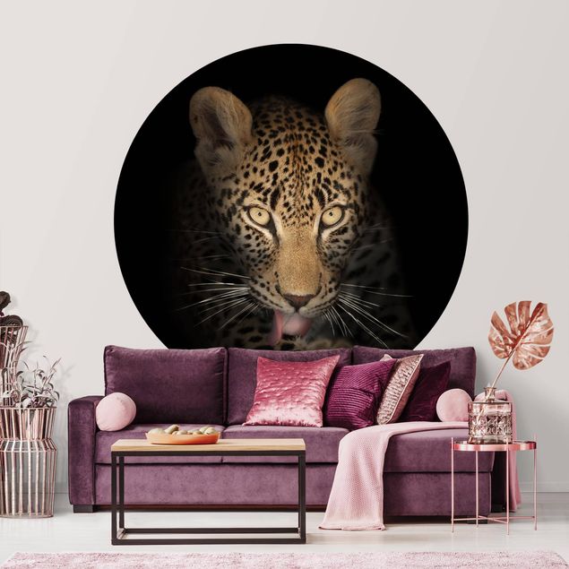 Cute cat wallpaper Resting Leopard