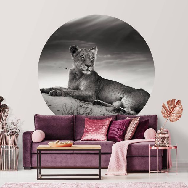 Cute cat wallpaper Resting Lion