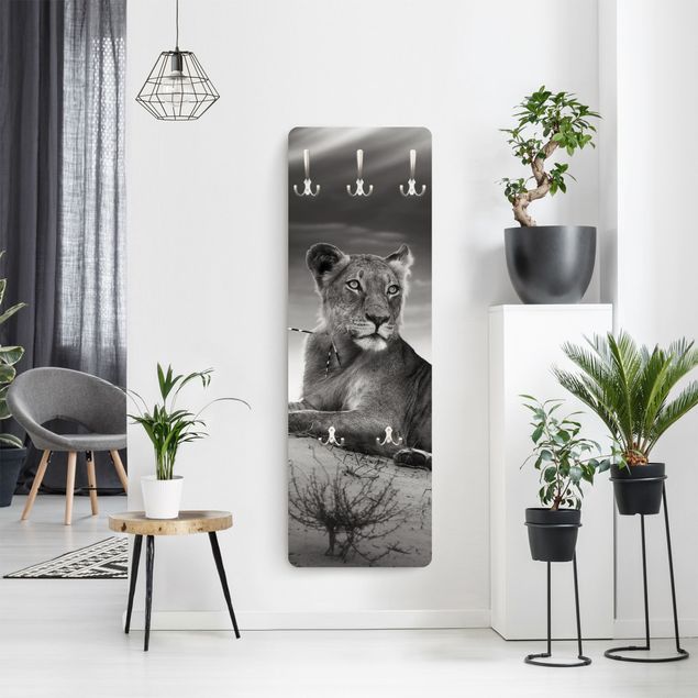 Wall mounted coat rack animals Resting Lion
