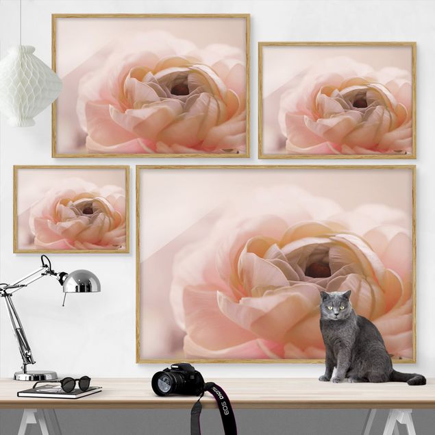 Pink wall art Focus On Light Pink Flower