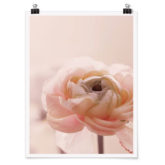 Prints modern Focus On Light Pink Flower