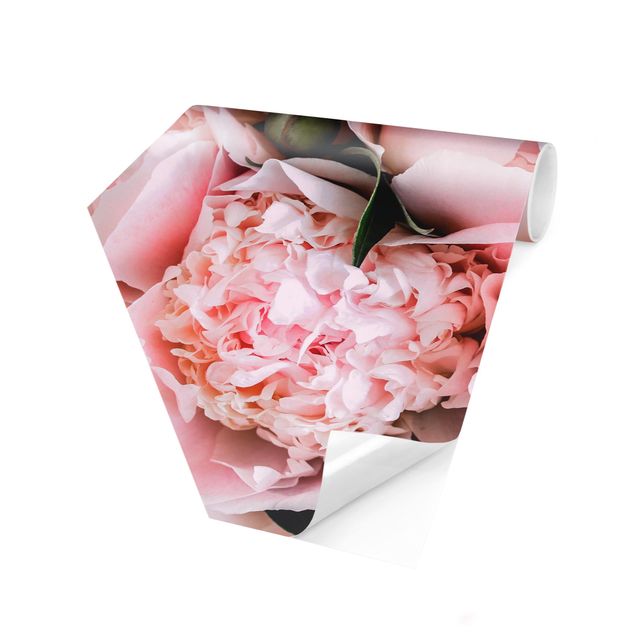 Wallpapers country Pink Peonies With Leaves