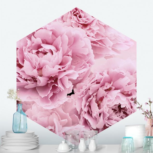 Rose flower wallpaper Pink Peonies