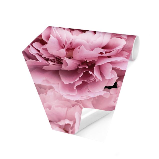 Wallpapers country Pink Peonies